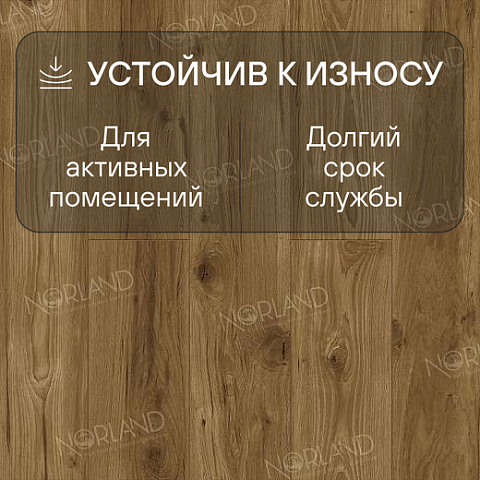 Norland Elegant 8 4V 33 (CH) LF301-18 Дуб Корсика (фото 3)