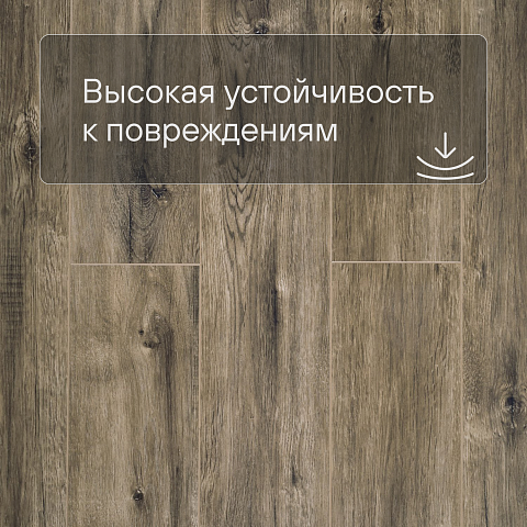 Deck Сенсо 4V 2016-5 Дуб Сфинкс (фото 8)