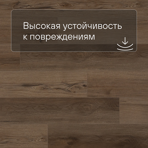 QS SPC Atmosphere ASPC 20247 Дуб натуральный темный (фото 5)