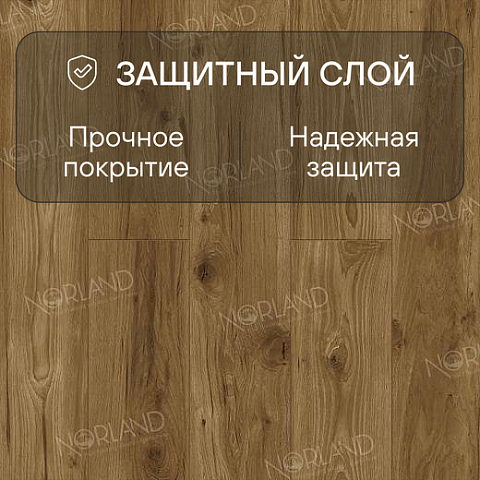 Norland Elegant 8 4V 33 (CH) LF301-18 Дуб Корсика (фото 2)