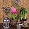 Пробковое настенное покрытие Corkstyle Wall Design Costa Коричневый (миниатюра фото 2)