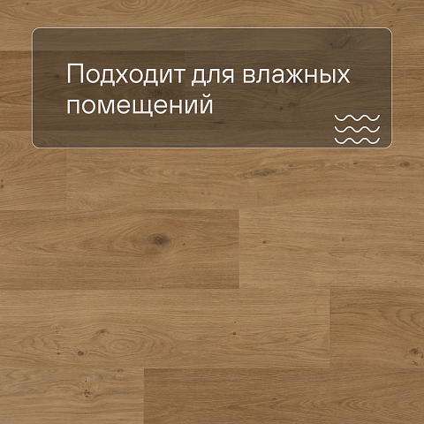 QS Second choice Alpha BLOS  SPE40320 - AVSPU 40320 Дуб береговой медовый (фото 2)