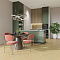 ESTA Chevron 15007 Oak Nordic S Dazy brushed matt 5% gloss 4B 532 x 120 x 14мм (миниатюра фото 2)