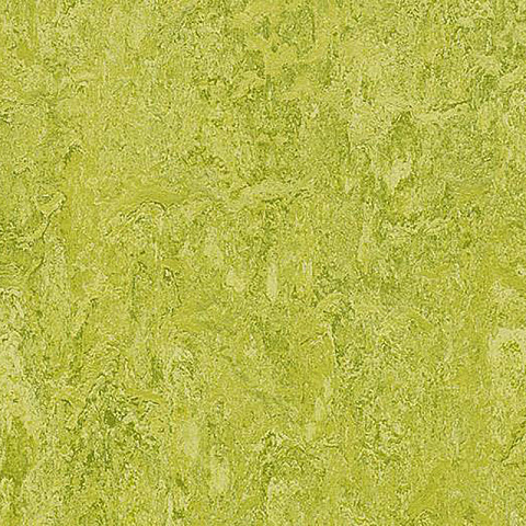  Forbo Marmoleum Marbled Real 3224 Chartreuse - 2.5 (фото 2)