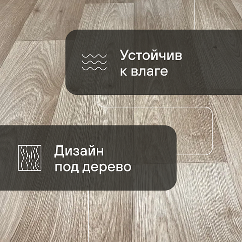 Атлас  Нардо 759 - 1.8 (фото 7)